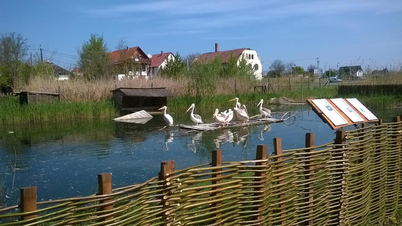 Arpad Nyaralohaz Villa Sarud Exterior foto